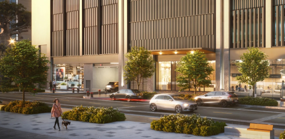 Pet-Friendly Environment